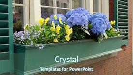  Presentation with blue hydrangeas - Amazing theme having green window box with blue backdrop and a ocean colored foreground