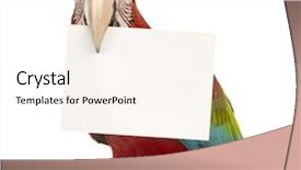  Presentation with wine green - PPT theme enhanced with engineering - architectural plan on paper background and a white colored foreground