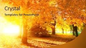  Presentation with fall leaves border autumn - Slide deck featuring green yellow - autumn fall autumnal park autumn background and a gold colored foreground