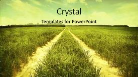  Presentation with retro - Colorful presentation enhanced with green yellow background - road through the field grunge backdrop and a yellow colored foreground