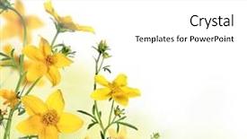  Presentation with free - PPT theme enhanced with green yellow design - beautiful flower background with free background and a white colored foreground