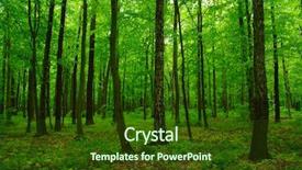  Presentation with beautiful green - PPT layouts enhanced with greenbeauty - beautiful green forest in spring background and a tawny brown colored foreground
