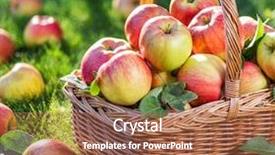  Presentation with green apple - Presentation theme with greenbio - apple harvest ripe red apples background and a red colored foreground