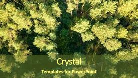  Presentation with summer trees - Presentation theme consisting of greenery deciduous trees background and a tawny brown colored foreground