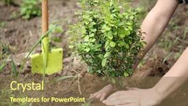  Presentation with planting seed in heart - Audience pleasing slide set consisting of sapling hands - woman planting bush backdrop and a violet colored foreground