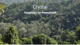  Presentation with tree - Presentation enhanced with greenery-tree-in-the-forest background and a gray colored foreground