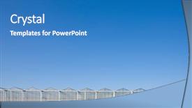  Presentation with greenhouse - Audience pleasing PPT theme consisting of greenhouse backdrop and a teal colored foreground