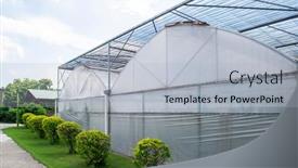  Presentation with greenhouses - Slides enhanced with greenhouses-glass-seedlings-of-flowers background and a light gray colored foreground