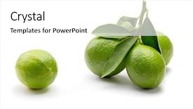  Presentation with lemons - Cool new PPT theme with greenish - fresh green lemons with leaves backdrop and a white colored foreground