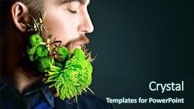  Presentation with green beauty - Slides consisting of greenpeace - profile of a handsome man background and a wine colored foreground