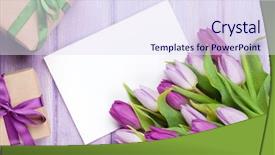  Presentation with tulip - Presentation consisting of greeting card and gift box background and a sky blue colored foreground