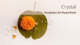  Presentation with greeting card - PPT theme consisting of greeting-card-background-photo background and a lemonade colored foreground