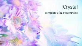  Presentation with border pink - Presentation consisting of greeting card for wedding day background and a cool aqua colored foreground