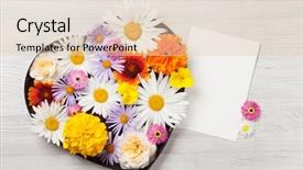  Presentation with heart flowers - Colorful slide deck enhanced with greeting card in heart backdrop and a lemonade colored foreground