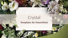  Presentation with greeting card - Slide set consisting of greeting-card-template-with-gifts background and a sky blue colored foreground