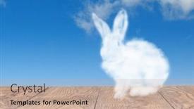  Presentation with congratulation - Presentation consisting of greeting-card-with-easter-rabbit background and a coral colored foreground