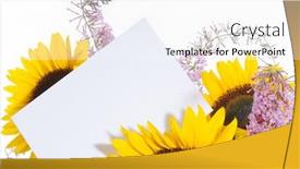  Presentation with greeting card - Beautiful theme featuring greeting-card backdrop and a white colored foreground