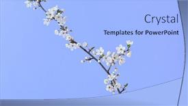  Presentation with greeting card - PPT layouts with greeting-spring-card-with-natural background and a light blue colored foreground