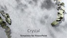  Presentation with eucalyptus leaves - Beautiful PPT theme featuring grey-background-with-eucalyptus-leaves backdrop and a light gray colored foreground