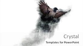  Presentation with crow - Colorful PPT layouts enhanced with grey-crow-flying-from-smoke backdrop and a white colored foreground