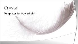 Presentation with feather - Presentation theme having grey-feather-isolated-on-white background and a white colored foreground
