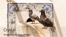  Presentation with summer - Presentation featuring grey fountain - pigeons on the fontain background and a coral colored foreground