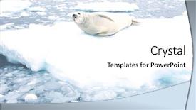  Presentation with blood flow vessel flowing - Amazing slide deck having grey seals - fur seal lying on ice backdrop and a white colored foreground