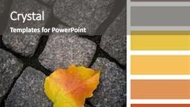  Presentation with single color - Presentation with grey shaded color - single fallen leaf in autumn background and a dark gray colored foreground