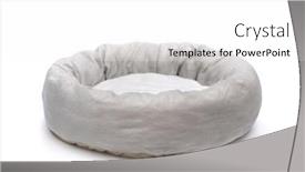  Presentation with pet - PPT layouts enhanced with grey-soft-round-plush-pet background and a white colored foreground