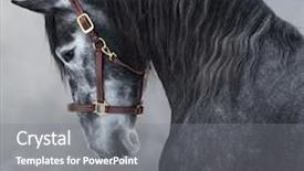  Presentation with dark grey - Beautiful theme featuring grey square - close up portrait of dark backdrop and a gray colored foreground