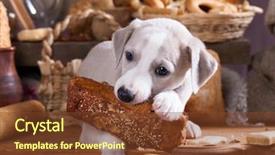  Presentation with religious bread and wine holy - Audience pleasing PPT layouts consisting of greyhound - puppy bites a loaf eats backdrop and a tawny brown colored foreground