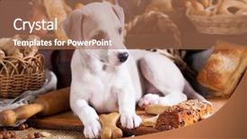  Presentation with blueberry bread - Audience pleasing PPT layouts consisting of greyhound - puppy bites a loaf eats backdrop and a coral colored foreground