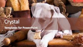  Presentation with bread - Cool new theme with greyhound - puppy bites a loaf eats backdrop and a tawny brown colored foreground