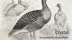  Presentation with old camera and film sound - Theme with logistics - cargo plane flying over airport background and a  colored foreground.