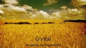  Presentation with wheat - Cool new theme with gricultur - field of wheat vintage photo backdrop and a gold colored foreground