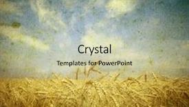  Presentation with wheat - Colorful theme enhanced with gricultur - field of wheat vintage photo backdrop and a soft green colored foreground