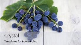  Presentation with grape vine black grapes - Slide set enhanced with gricultur - grapes on wooden barrell background and a  colored foreground