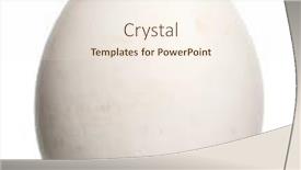  Presentation with egg - PPT theme consisting of griffon-vulture-egg-gyps-fulvus background and a cream colored foreground