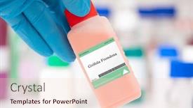  Presentation with fungus - PPT theme having grifola-frondosa-fungus-used background and a lemonade colored foreground