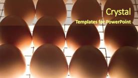  Presentation with incubator - Slide set enhanced with grill with eggs in incubator background and a tawny brown colored foreground