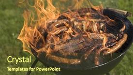  Presentation with barbecue - Presentation theme with grilled meat on a summer background and a tawny brown colored foreground