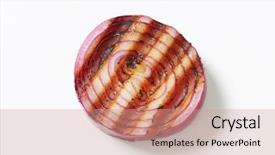  Presentation with tape recorder studio - Colorful theme enhanced with grilled onion slice - studio shot backdrop and a coral colored foreground