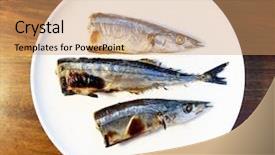  Presentation with pacific education - Presentation theme having grilled pacific saury mackerel pike background and a coral colored foreground
