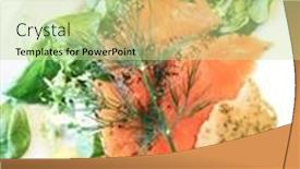  Presentation with salmon dish - Amazing presentation theme having grilled-salmon-and-lemon-french backdrop and a soft green colored foreground