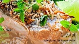  Presentation with lime - Amazing slide deck having grilled-salmon-with-toasted-coconut backdrop and a coral colored foreground