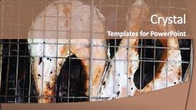 Presentation with grilling - Slides enhanced with grilling salmon steak with milk cream in grid over barbecue background and a coral colored foreground