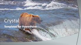  Presentation with coastal - Beautiful presentation theme featuring grizzly-bear-hunting-salmon backdrop and a seafoam green colored foreground