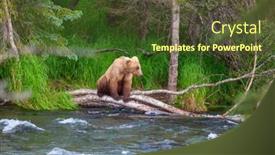  Presentation with hunting - PPT theme having grizzly-bear-hunting-salmon background and a tawny brown colored foreground