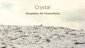  Presentation with mountains - Colorful slide deck enhanced with grizzly-bear-in-autumn-snowy backdrop and a cream colored foreground