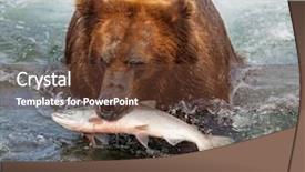  Presentation with brown bear - Beautiful presentation theme featuring 2016 number new year backdrop and a tawny brown colored foreground.